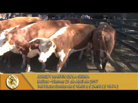 21-04-17 Venta de Gordo - Jorge y Martin De La Serna - Bolivar