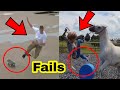 Funny Fails Video Compilation 2020 Fails 2020 June 27 Life Of Vines LOV