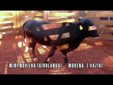 Produto sem imagem