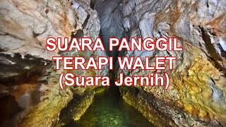 Download lagu SP TERAPI WALET (SUARA PANGGIL) | #Walet #SuaraWalet #GedungWalet mp3 Download lagu SP TERAPI WALET (SUARA PANGGIL) | #Walet #SuaraWalet #GedungWalet mp3
