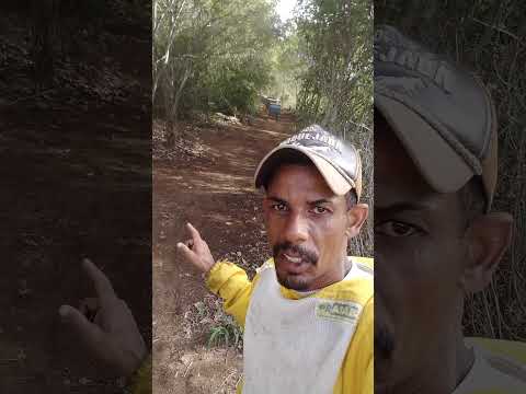 apiário esperança riacho Dantas Ruy Barbosa Bahia