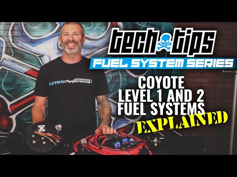 Lethal Performance Fuel System Series: Level 1 and 2 Systems for the 2011-2017 Mustang GT