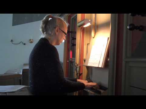 Gwendolyn Toth plays Scheidemann on the 1457 organ in Rysum, Germany