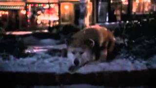 Porta - Ausente  VIDEO OFFICIAL ( Siempre a tu lado)