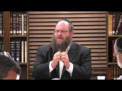 Tanya Chapter 33 Part 2 - Rabbi Naftali Silberberg