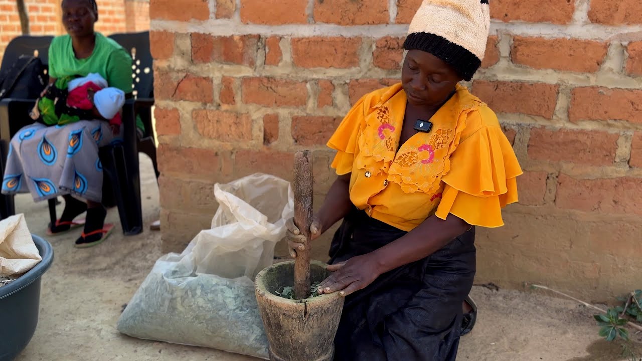 Greening Zambia's MSME Sector
