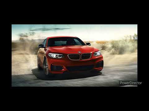 Li Louisiana - (4’sBaby)