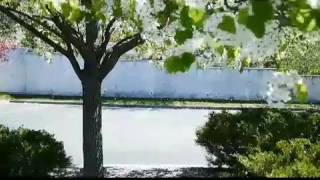 Nee Krupa Leni Kshanamu