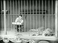Charlie Chaplin The Circus Lion S Cage