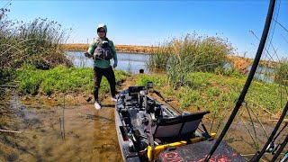 An afternoon Fishing session to remember