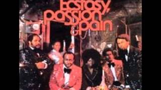 Ecstasy, Passion & Pain - Born To Lose You