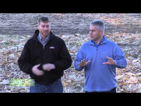 Weed of the Week #874 - Milkweed (Air Date 1/4/15)