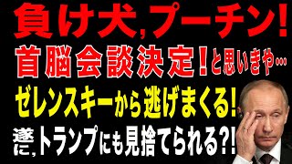 2025/8/20　追い込まれたプーチン政権! 遂にプーチン氏とゼレンスキー氏が首脳会談へ!と思いきや… 会談先送りに必死なラブロフ外相。言い訳して、ゼレンスキー氏との会談から逃げまくるプーチン政権。