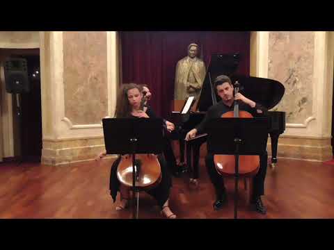 Aurelian Bacan: A Glimpse of the Star Trek Universe (Duo Cello Jaya & Iulian Ochescu)