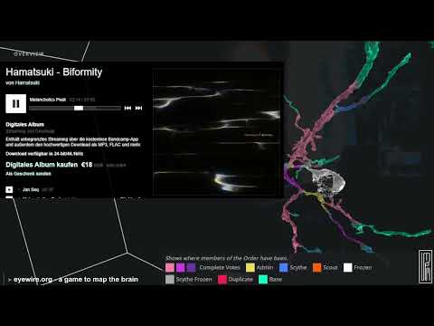 Hamatsuki - Biformity 2025