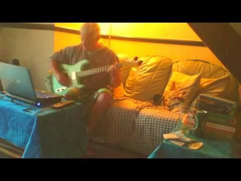 The cat and the moon