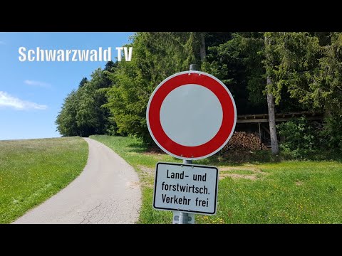 ⭕🏍️Mehrere KRad-Fahrer verstoßen gegen § 37 des Landeswaldgesetz in Herrischried - Live [30.05.2020]