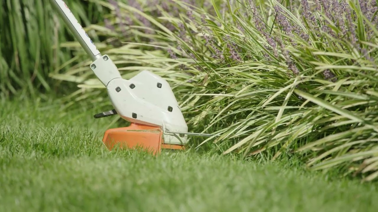 FSA 30 Looping Video