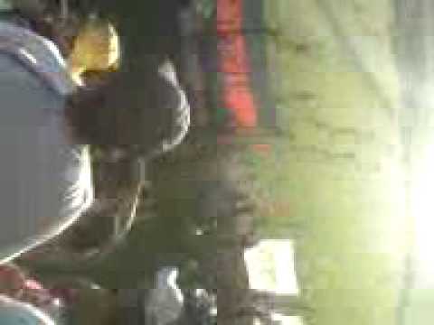 pelle - villa cristina