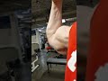 50cm Arm Flex - Bodybuilding