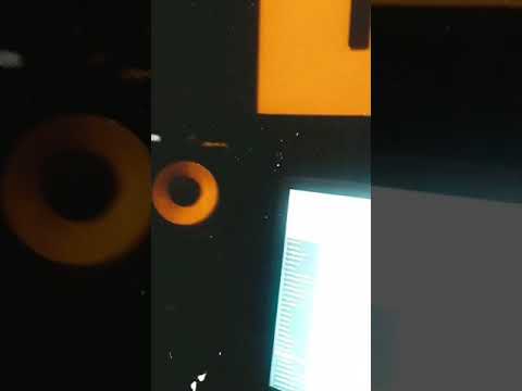 Djusa - Ne volis (ne izbacena pjesma)