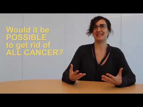 Cancer Evolution: Could this hold the key?
