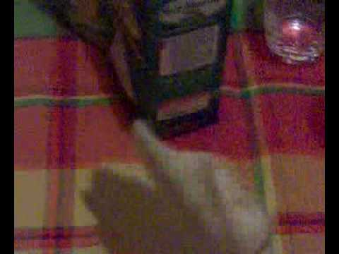 to be or not to be carasau