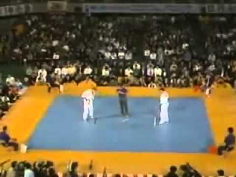 4th World Kyokushin Karate Tournament 1987  20 Best Fights