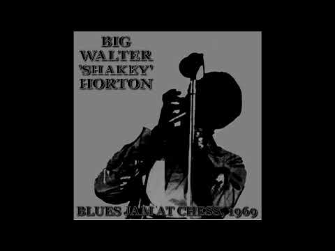 Big Walter Horton - Blues Jam at Chess 1969 (Full album)