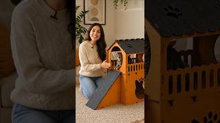 Casinha para Gatos com Rampa Antiestresse Playground 2 Andares 😺🏠