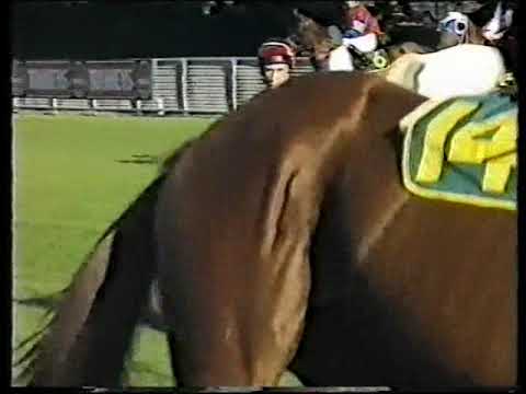 1995 Galaxy Stakes Randwick