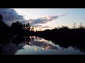 River Between Trees | Slow Motion