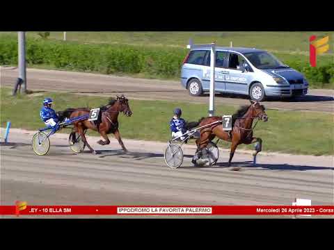 V Corsa del 26 aprile 2023 - 3 Anni F - Metri 2000/2020