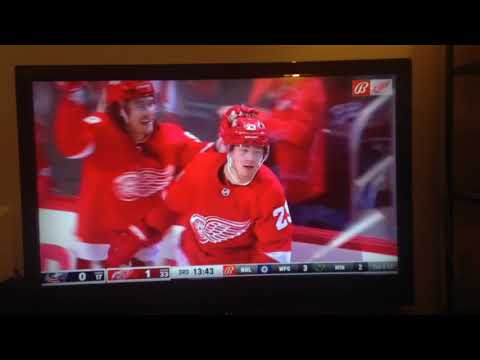 Lucas Raymond First NHL Goal