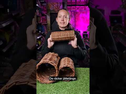 Marsvinstunnel i pil - Video