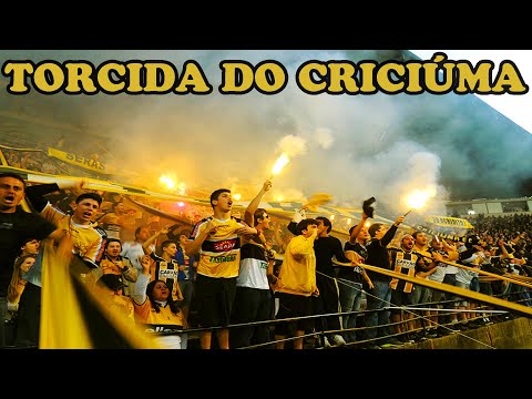 DE ARREPIAR A FESTA DA TORCIDA DO CRICIÚMA NO HERIBERTO HULSE!!