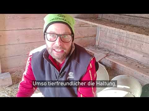 Direktzahlungen | Bio-Berglandwirtschaft | Farmfluencer