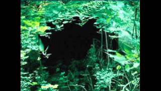 Angels of Light - Forever Yours