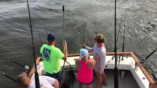Chasin Tail Charters