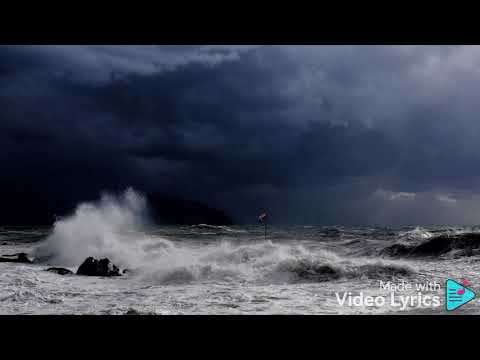 YOU'RE THE REASON JOEY PALOMAR 