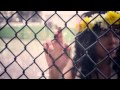 NITTY SCOTT - "Flower Child" feat. Kendrick Lamar Official Music Video