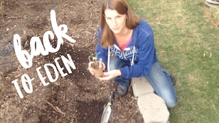 Planting Out a Back to Eden Garden with Erin Case | Skill of the Month Club