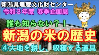 新潟県埋蔵文化財センター 春季企画展 誰も知らない?!新潟の米の歴史 ④大地を耕し、収穫する道具