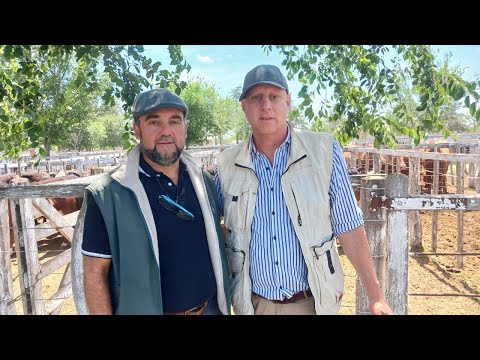 Santiago Marque. Feria Néstor Hugo Fuentes en Bernasconi La Pampa con Rubén Berman