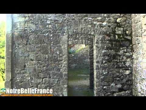 comment fortifier un rosier
