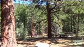 Bootleg Campground Video