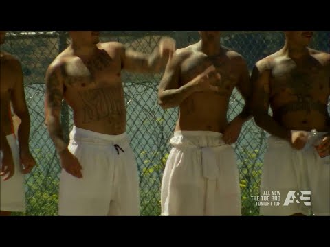 Gangland: Mexican Mafia