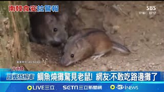 鯛魚燒攤驚見老鼠! 網友:不敢吃路邊攤了 噁! 南韓老鼠爬上鯛魚燒攤 大剌剌吃廚餘│記者 許少榛│國際關鍵字20251117│三立iNEWS