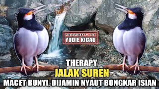 Download lagu Therapy Pancingan Jalak Suren Macet Bunyi, Sounds Water And Birds mp3 Download lagu Therapy Pancingan Jalak Suren Macet Bunyi, Sounds Water And Birds mp3