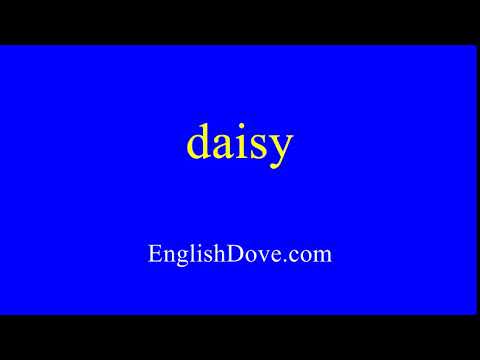How to pronounce daisy in American English.